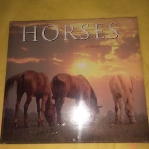 NIP 2007 HORSES 16 MONTH CALENDAR